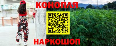 гидропоника Гусь-Хрустальный