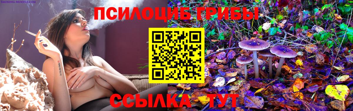 Галлюциногенные грибы GOLDEN TEACHER  Вход с VPN  Вологда 