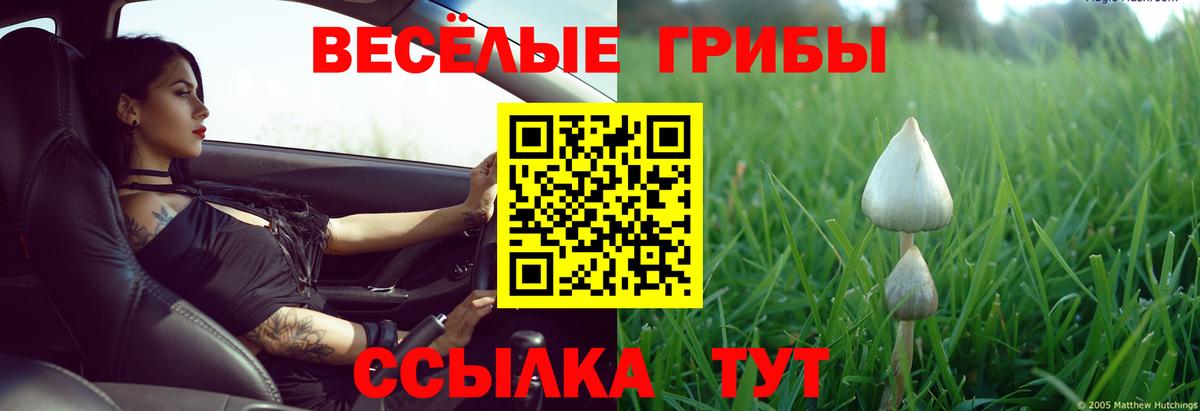 Галлюциногенные грибы GOLDEN TEACHER Вологда
